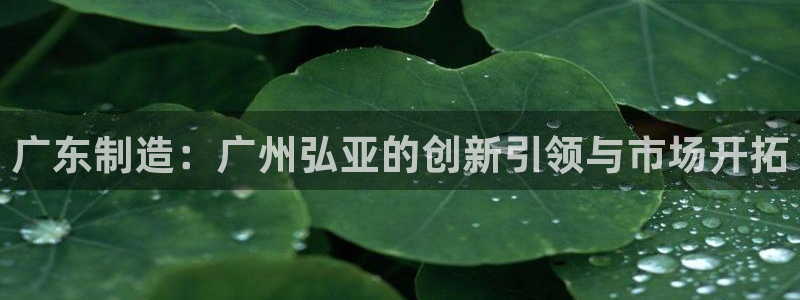 天辰娱乐60447