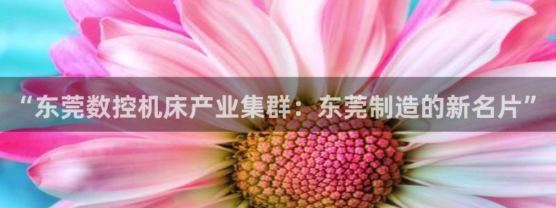 天辰娱乐内部