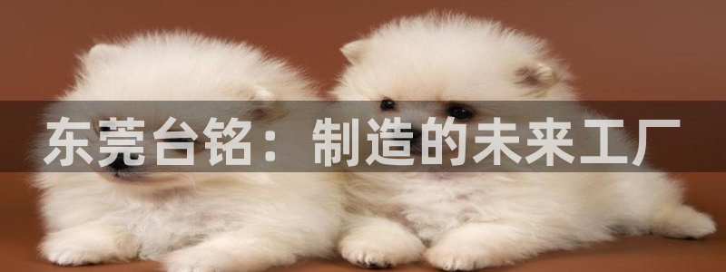天辰娱乐内部