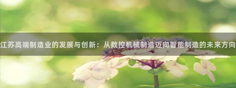 天辰娱乐官