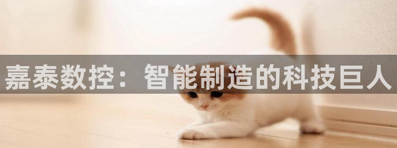天辰娱乐软件