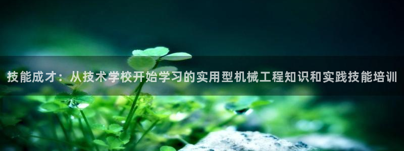 天辰臣娱乐