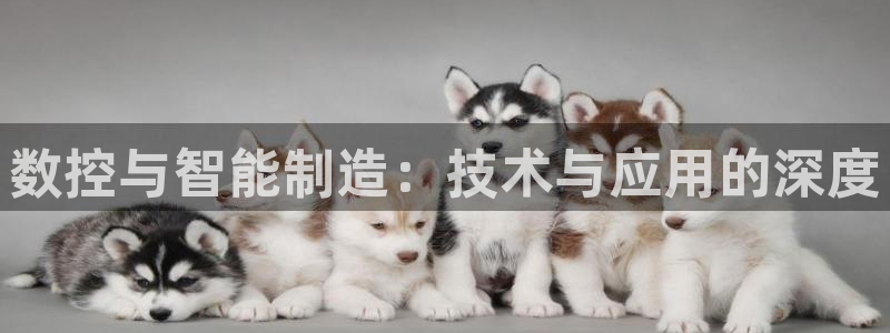 天辰团队贝高娱乐
