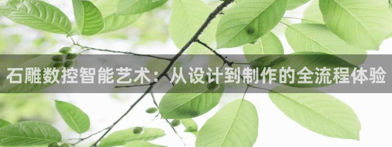 天辰娱乐电话