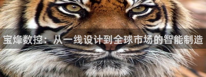 天富天辰娱乐