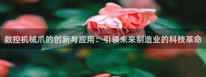 天辰娱乐好吗
