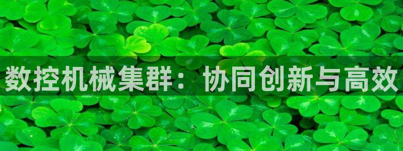 天辰娱乐 18113