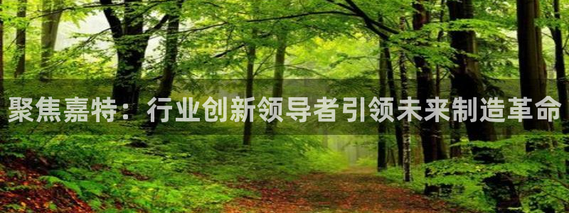 天辰娱乐公司