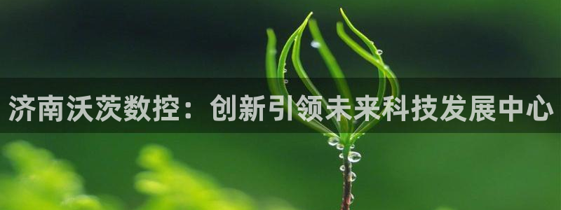 辰天娱乐用品