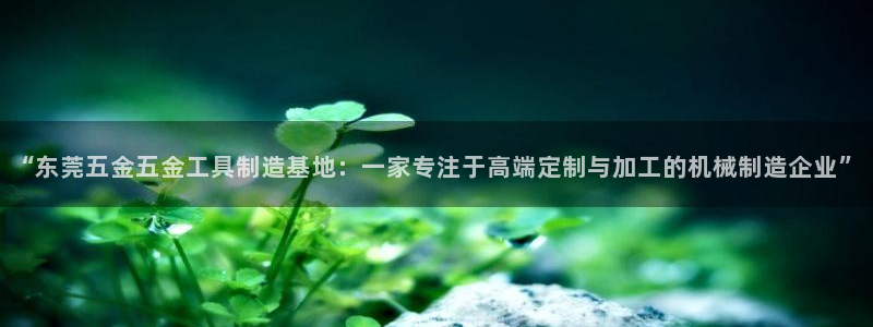 辰天娱乐