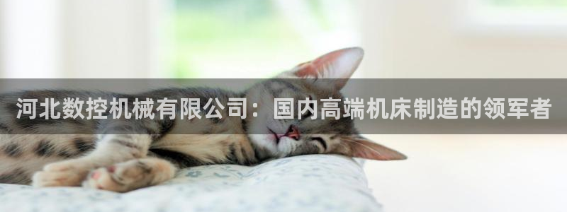 哈尔滨天辰娱乐