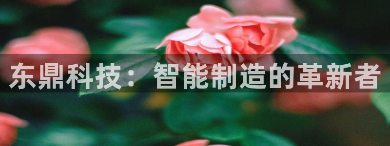 天辰娱乐娱乐平台