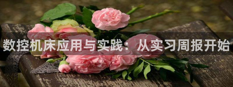 天辰宝宝娱乐