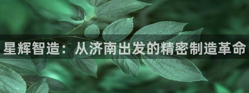 天辰娱乐小妹