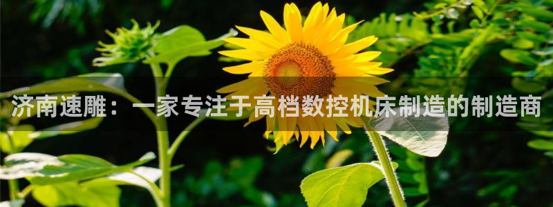 天辰说娱乐