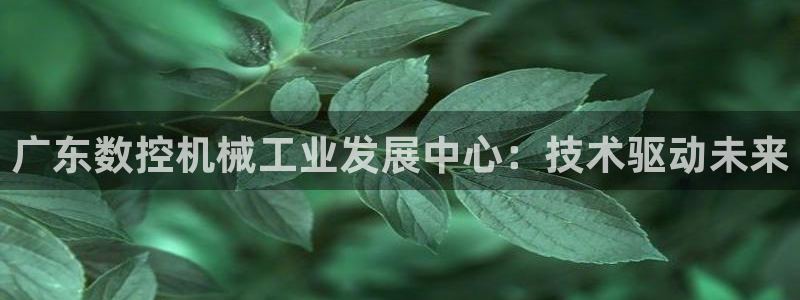 天辰娱乐1966