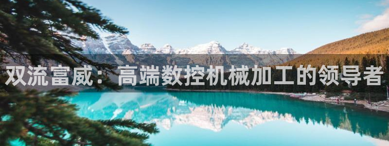 天辰彩票娱乐