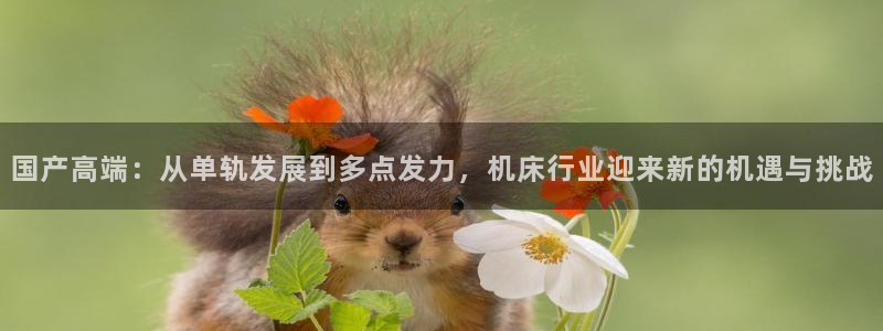 天辰说娱乐