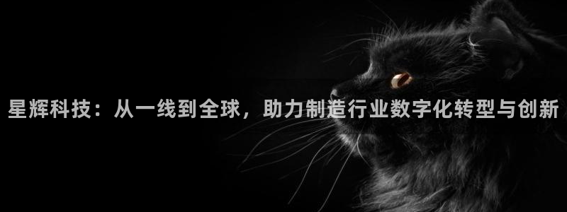 天辰娱乐官网平台下载
