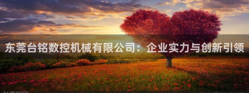 天辰娱乐游戏平台怎么样