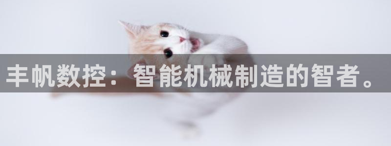 天辰娱乐51137