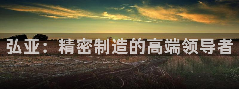 天辰娱乐