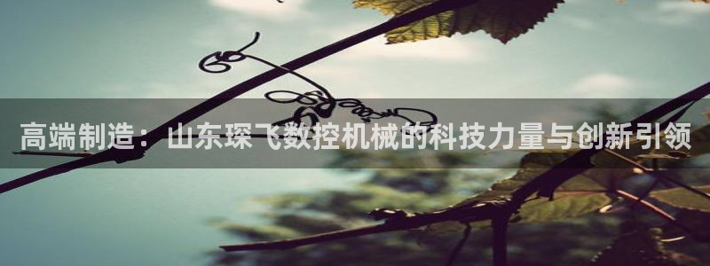 天辰娱乐测速