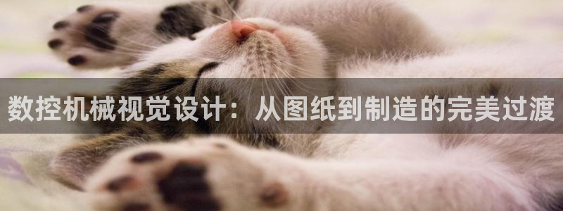 天辰娱乐 主管