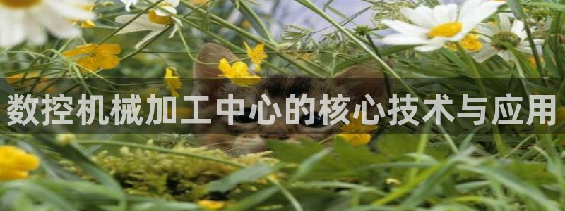 天辰娱乐待遇