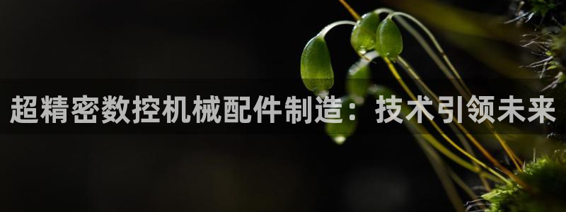 天辰娱乐厕所