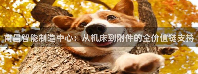 天辰娱乐路线