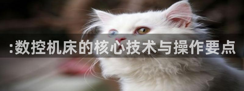 天辰娱乐平台靠谱么