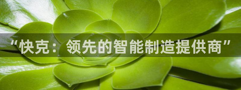 天辰娱乐地址