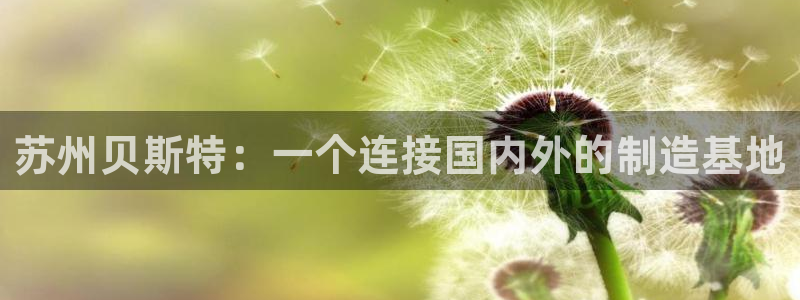 天辰娱乐上级
