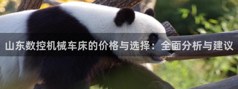 天辰娱乐新闻