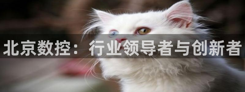 天辰娱乐官