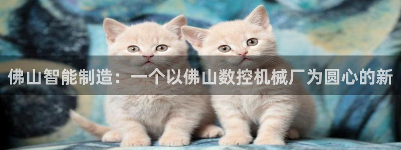 天辰娱乐游戏平台怎么样