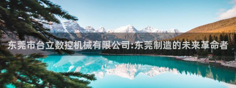 天辰娱乐股东
