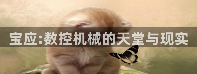 天辰娱乐软件