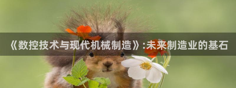 天辰娱乐 qq