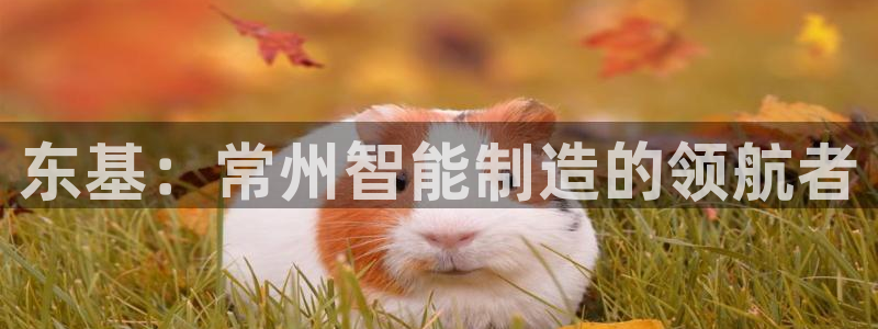 天辰娱乐 18113
