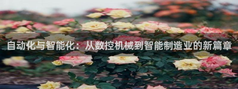 天辰娱乐728567