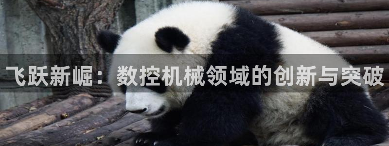 天辰娱乐官网