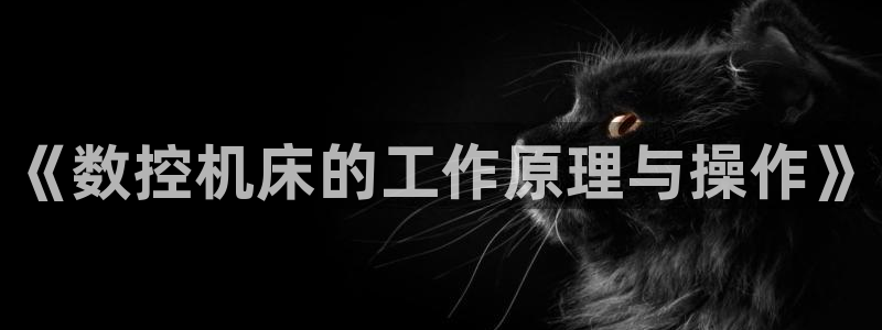 哈尔滨天辰娱乐