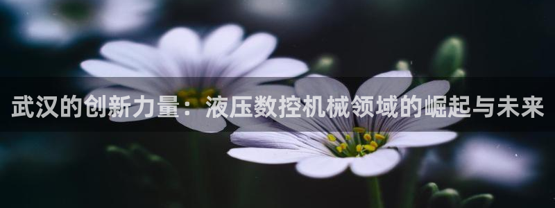 天辰娱乐10086