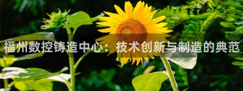 天富娱乐与天辰娱乐
