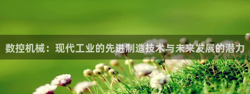 天辰娱乐老板