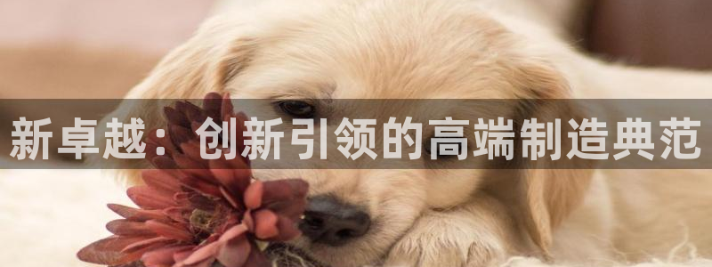 天辰娱乐赌博