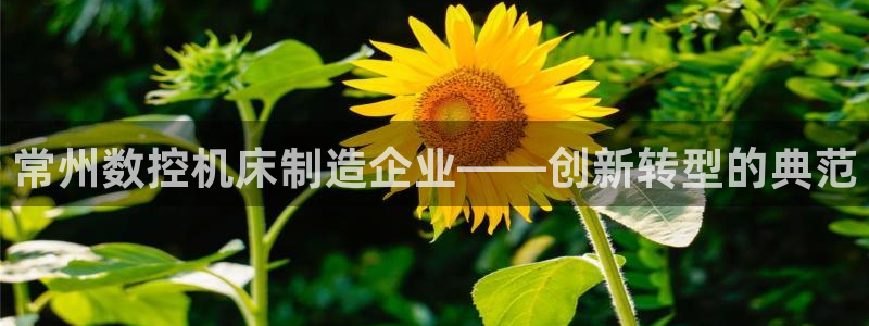 天辰娱乐注册登录