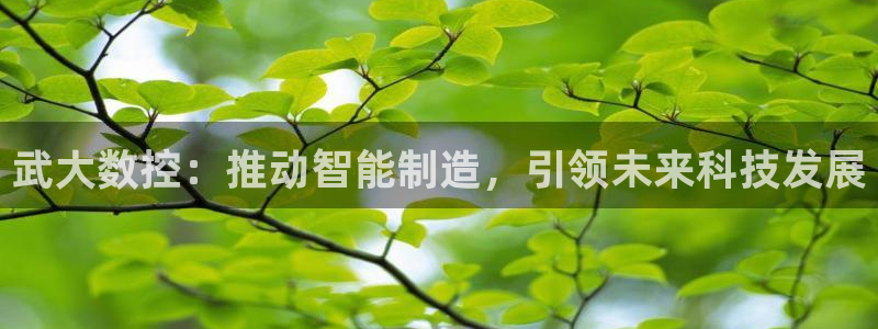 天辰a娱乐
